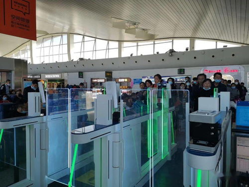 烏魯木齊機(jī)場高科技設(shè)備提升服務(wù)，信息技術(shù)咨詢服務(wù)助力智慧出行